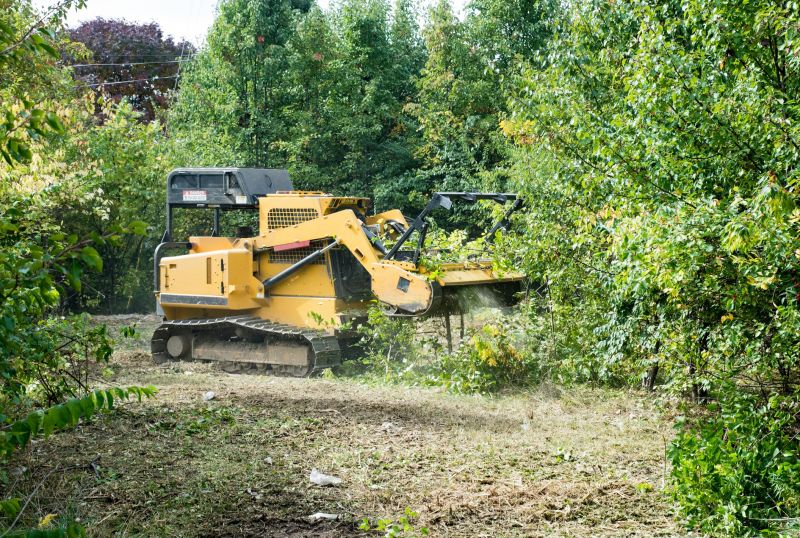 Underbrush Clearing in Cumming, GA