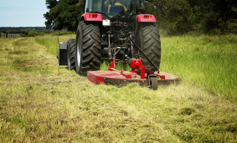 Brush Clearing Service in Cumming, GA
