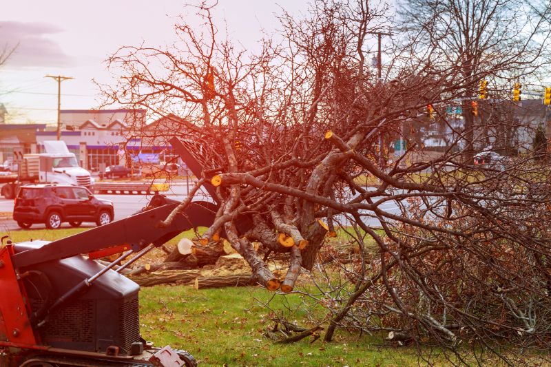 Building Site Clearing in Gwinnett County, GA