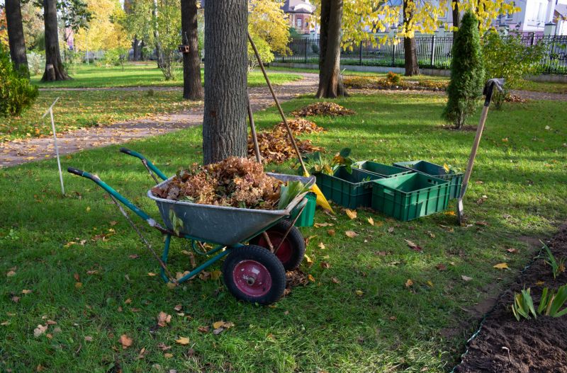 Ground Clearing in Houston, TX