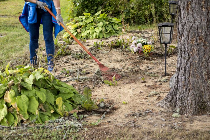 Land Preparation Service in Atlanta, GA