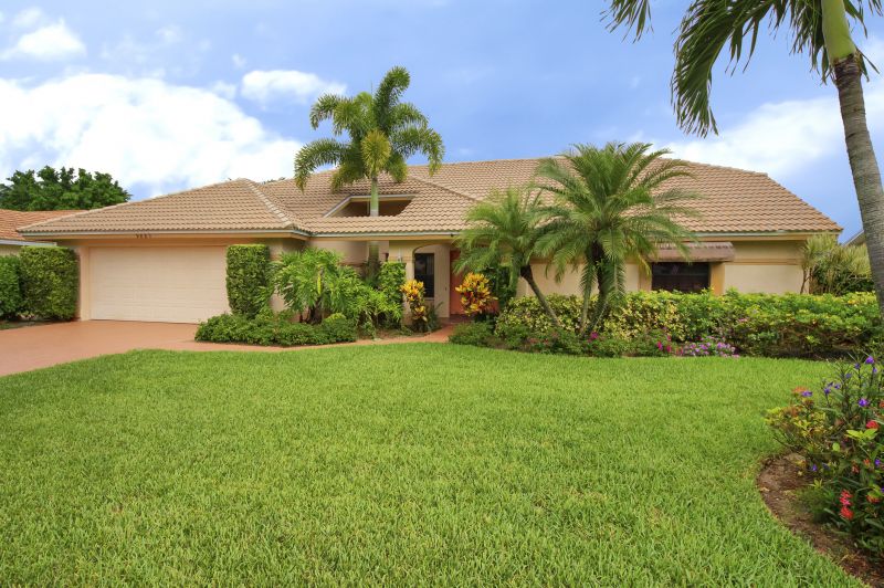 Mimosa Tree Removal in Aiken, SC