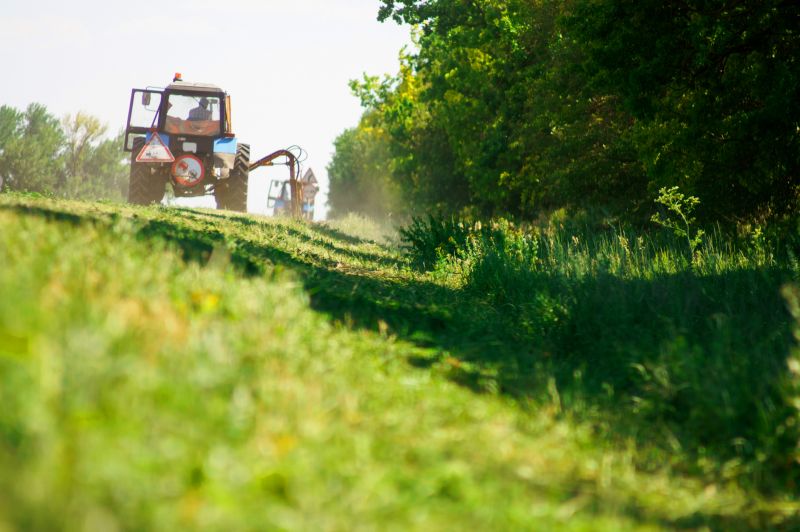Pasture Clearing in Cumming, GA