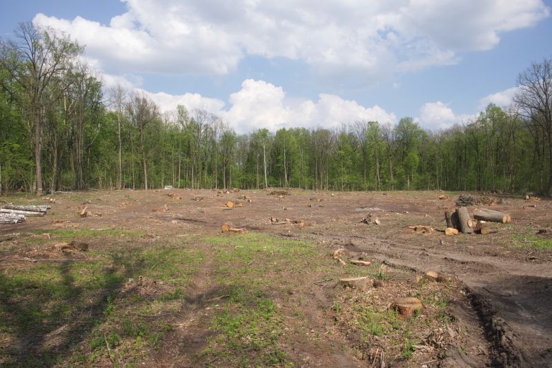 Pasture Clearing in Gwinnett County, GA