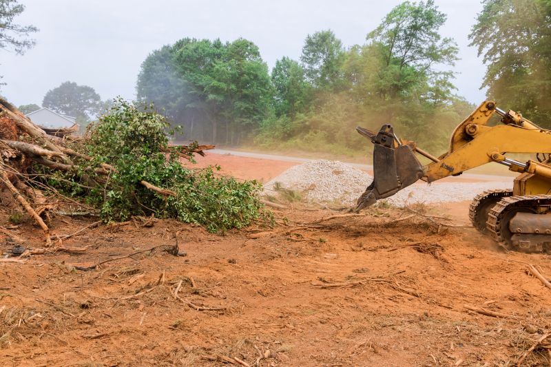 Site Clearing Service in Gwinnett County, GA