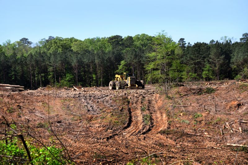 Slope Clearing in Cumming, GA