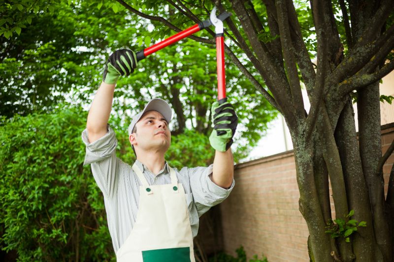 Expert Assessing Roots